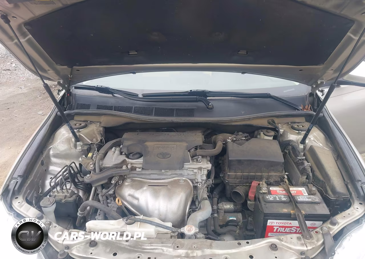 2017 Toyota Camry Le VIN:4T1BF1FK6HU369385 - 10