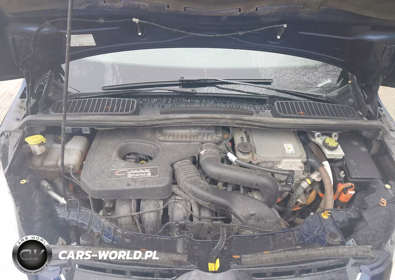 2016 Ford C-Max Energi Sel VIN:1FADP5CU7GL119753 - 10
