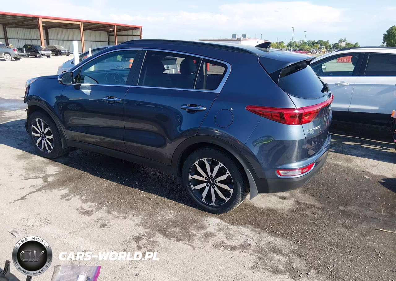 2019 Kia Sportage Ex VIN:KNDPN3AC7K7533242 - 3