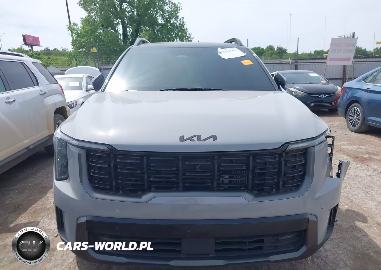 2024 Kia Sorento X-Line Sx VIN:5XYRKDJFXRG311079 - 12