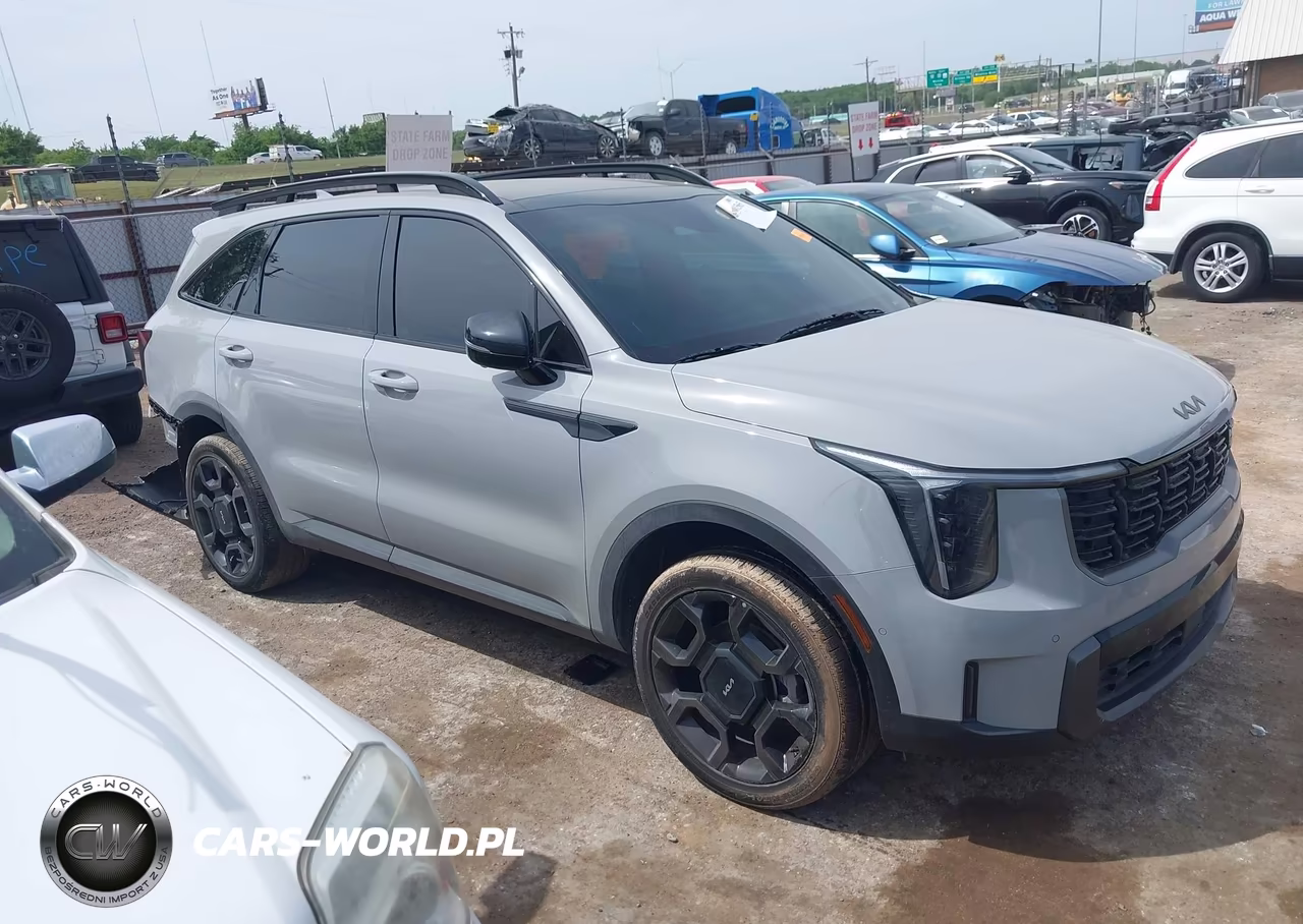 2024 Kia Sorento X-Line Sx VIN:5XYRKDJFXRG311079 - 13