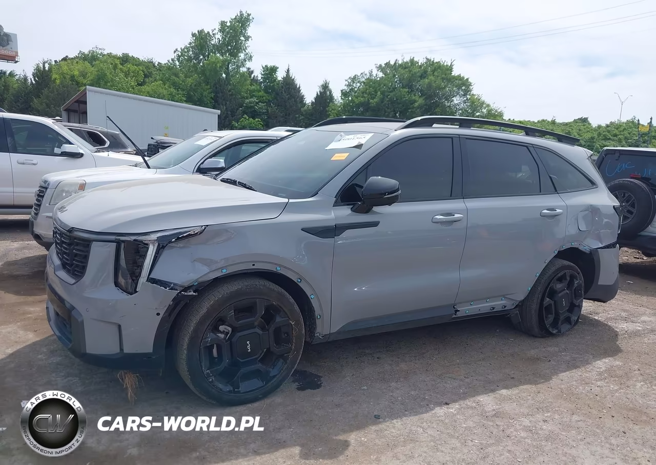 2024 Kia Sorento X-Line Sx VIN:5XYRKDJFXRG311079 - 14