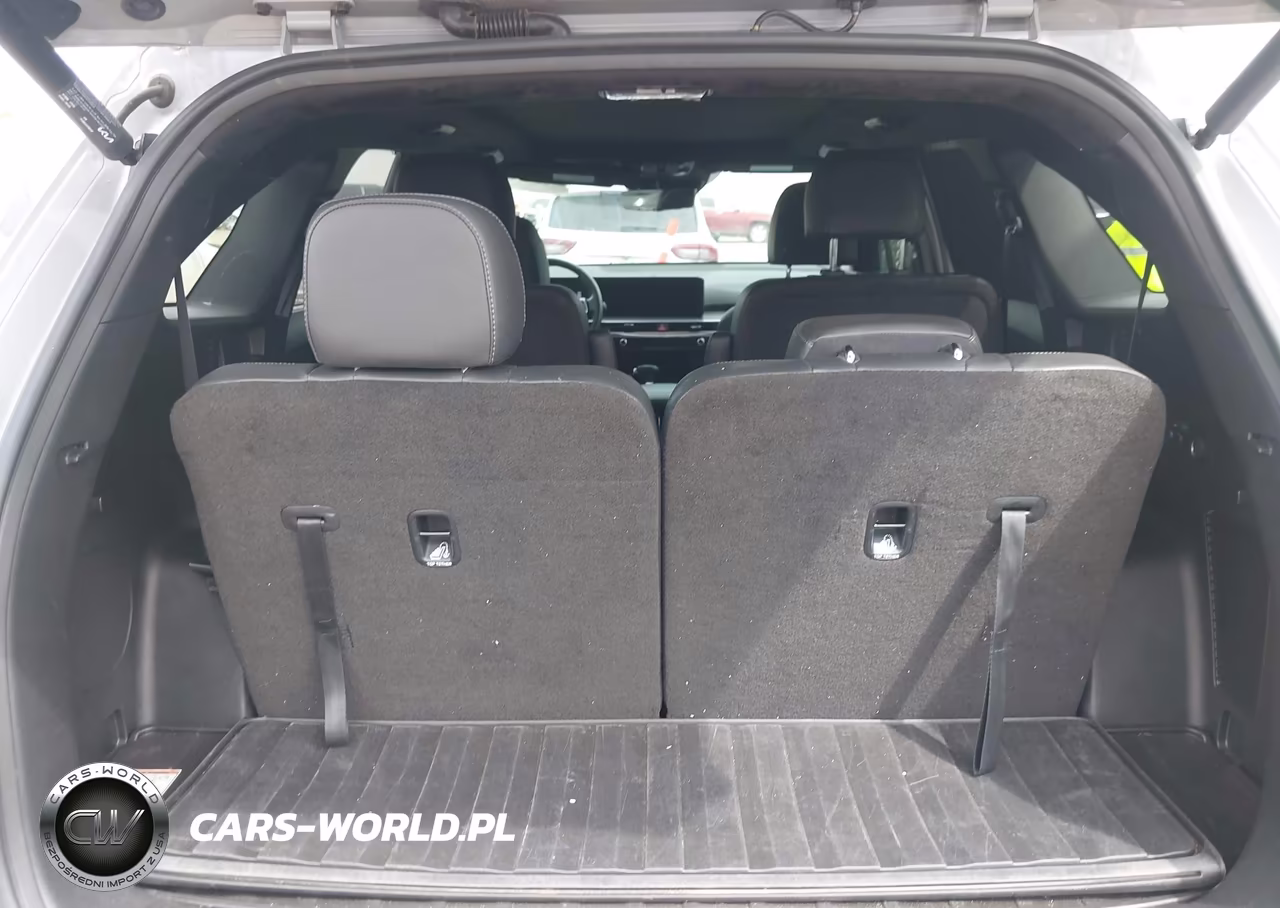 2024 Kia Sorento X-Line Sx VIN:5XYRKDJFXRG311079 - 17