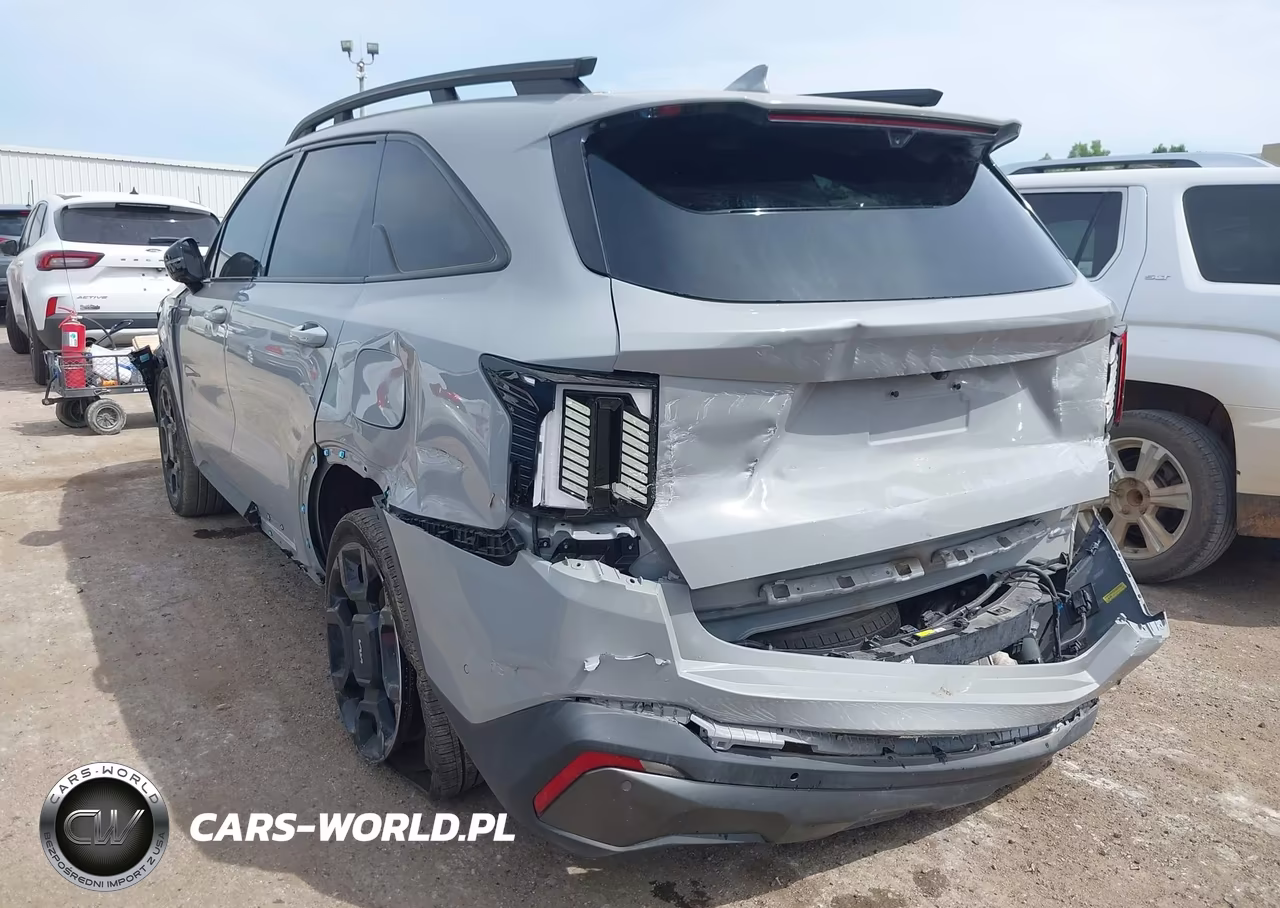2024 Kia Sorento X-Line Sx VIN:5XYRKDJFXRG311079 - 3