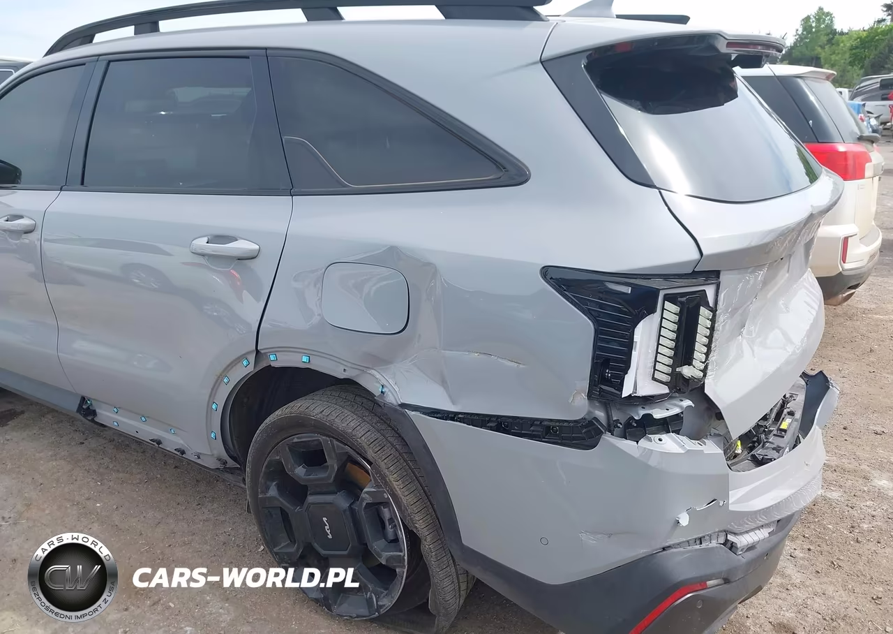 2024 Kia Sorento X-Line Sx VIN:5XYRKDJFXRG311079 - 6
