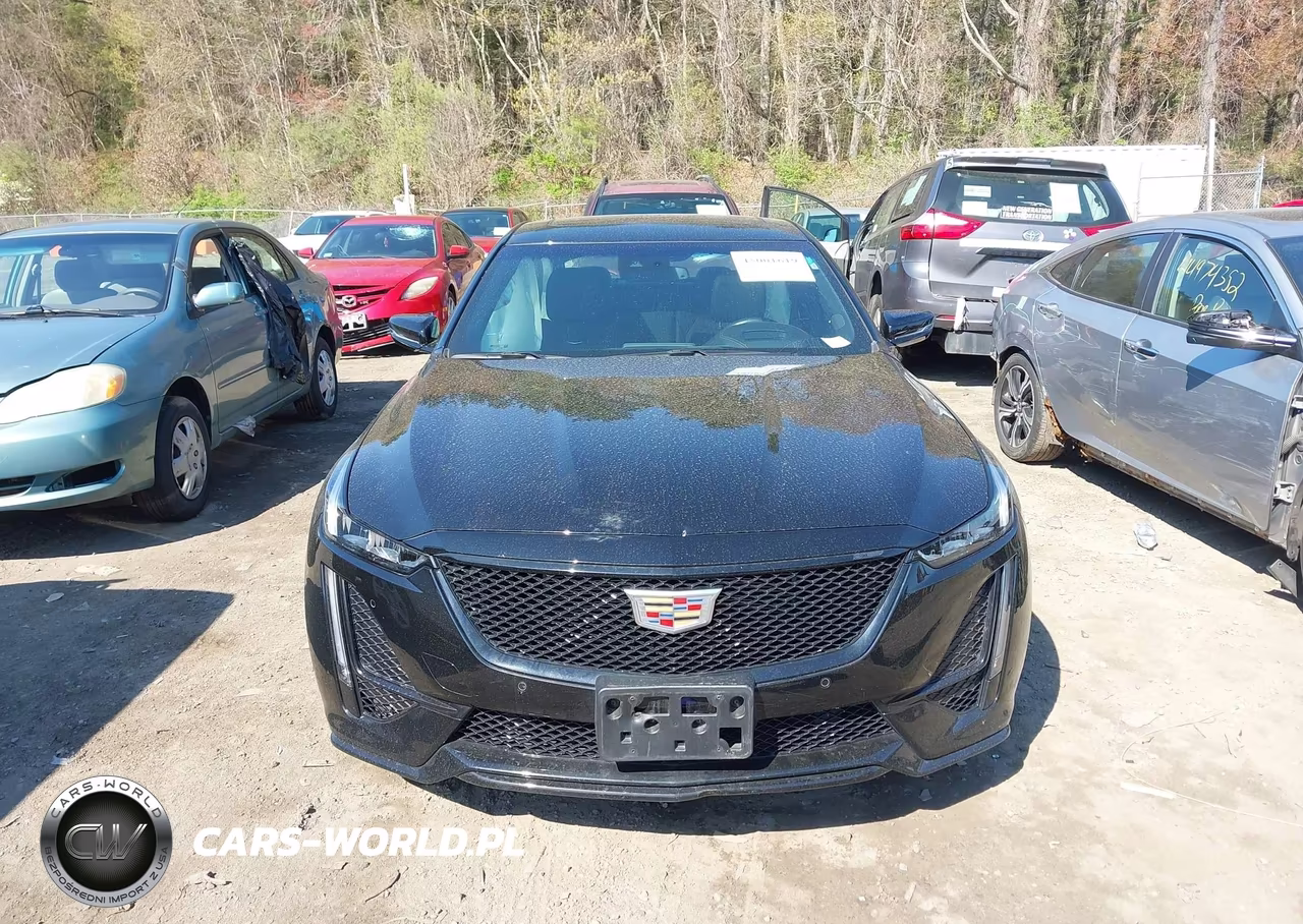 2024 Cadillac Ct5-V V-Series VIN:1G6DV5RW7R0101771 - 12