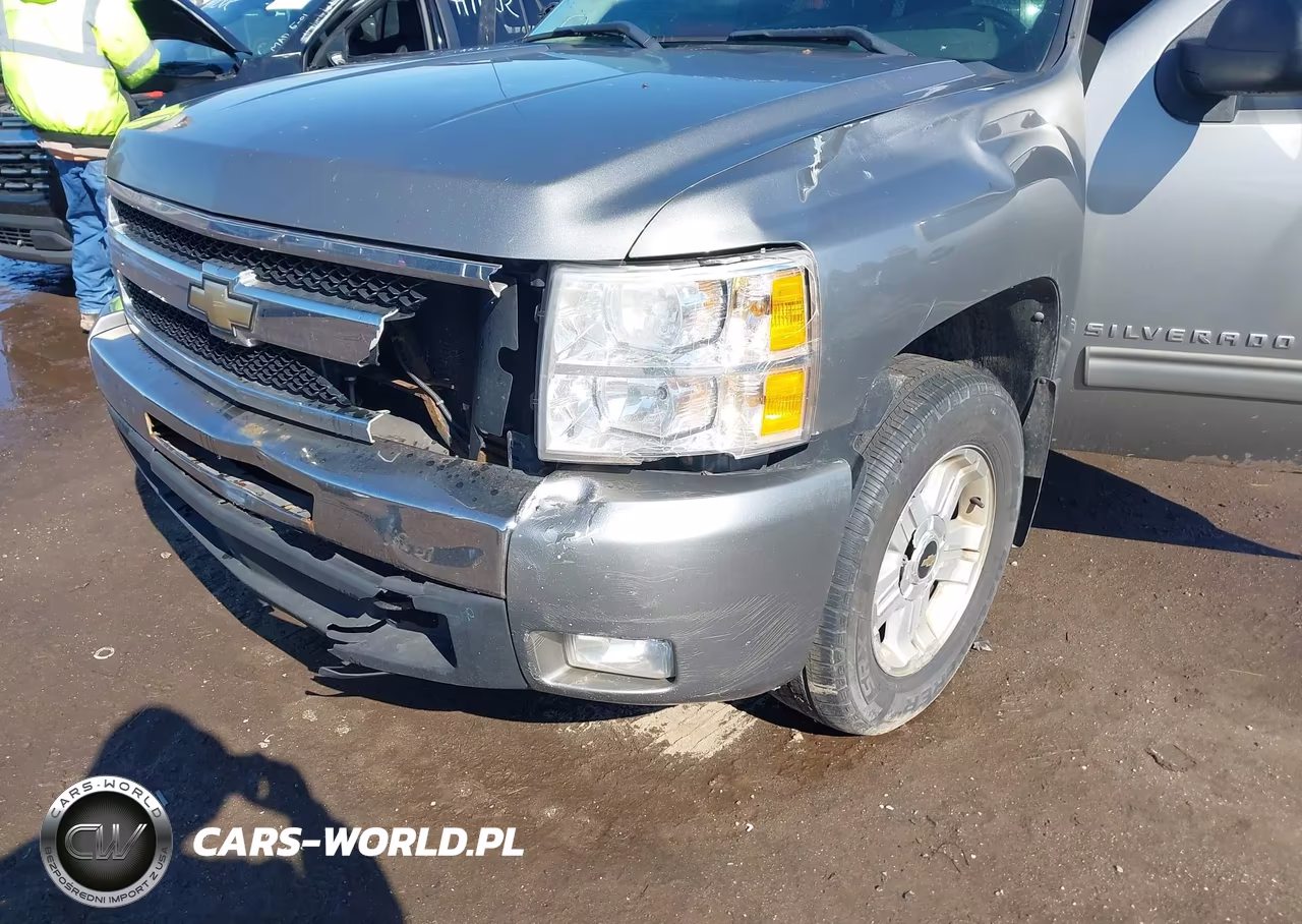 2009 Chevrolet Silverado 1500 Lt VIN:1GCEK29009Z228202 - 12
