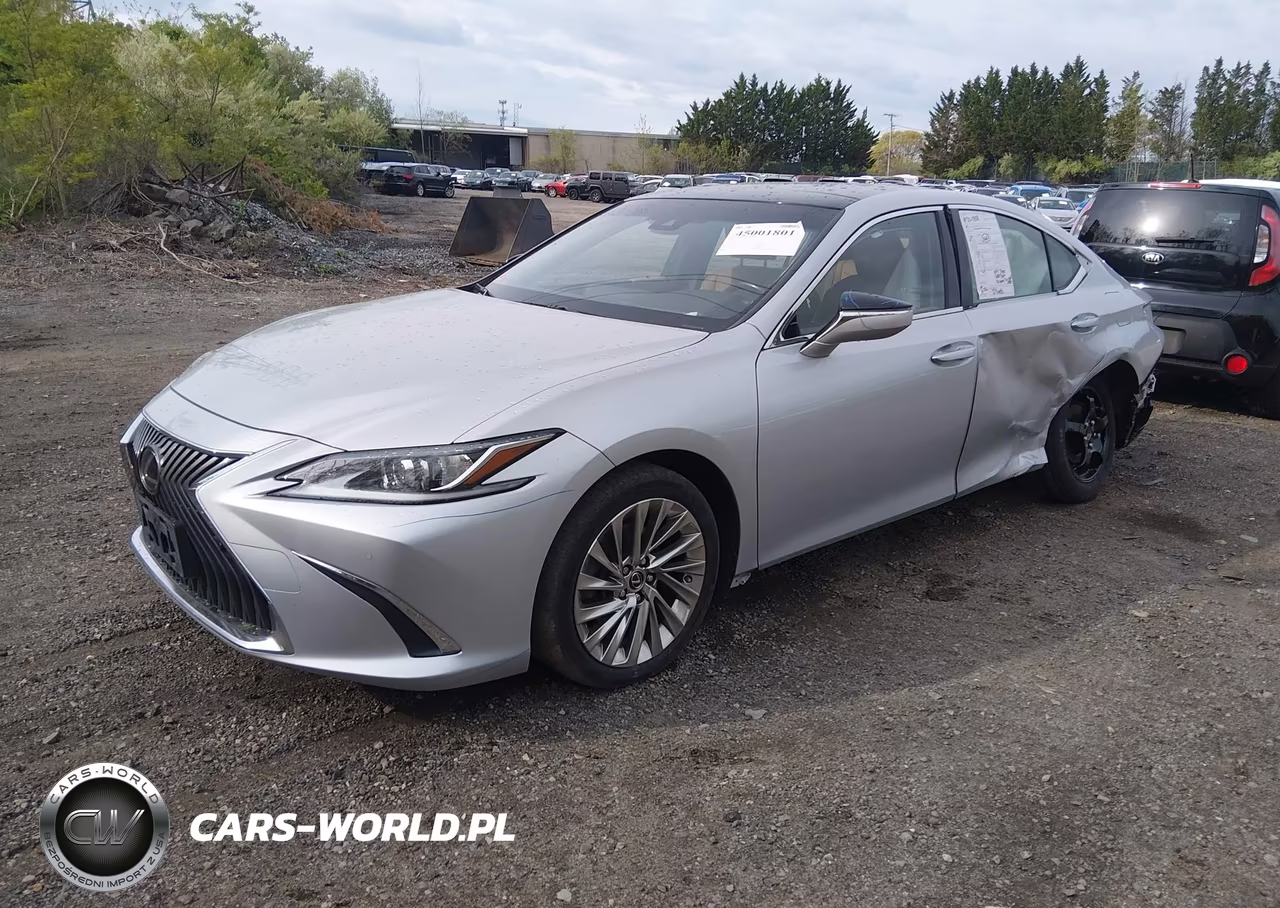 2019 Lexus Es 350 VIN:JTHBZ1B19K2005309 - 2