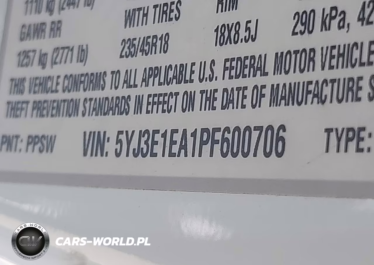 2023 Tesla Model 3 Rear-Wheel Drive VIN:5YJ3E1EA1PF600706 - 9