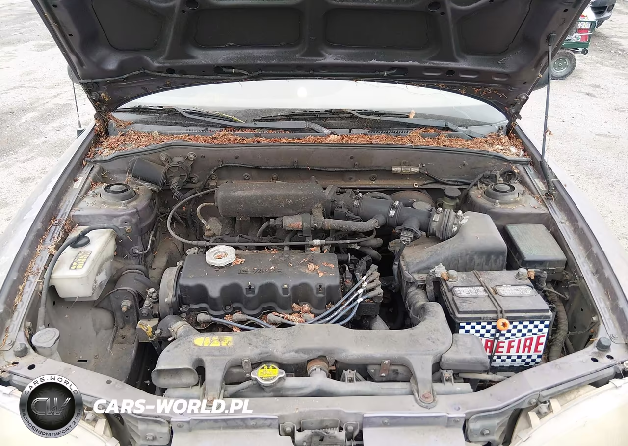 1999 Hyundai Accent L VIN:KMHVD14N8XU438415 - 10