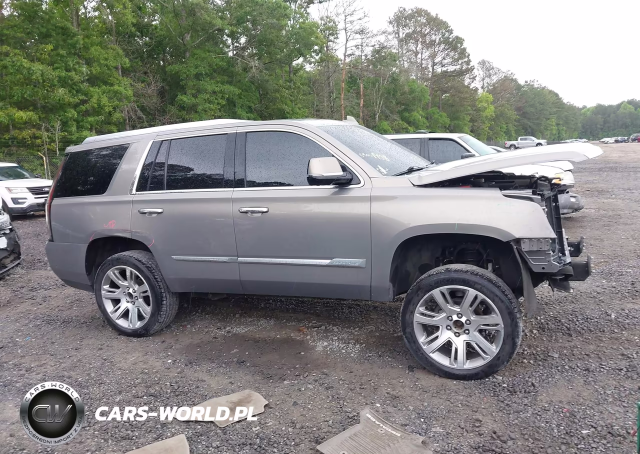 2017 Cadillac Escalade Luxury VIN:1GYS4BKJ0HR283435 - 13