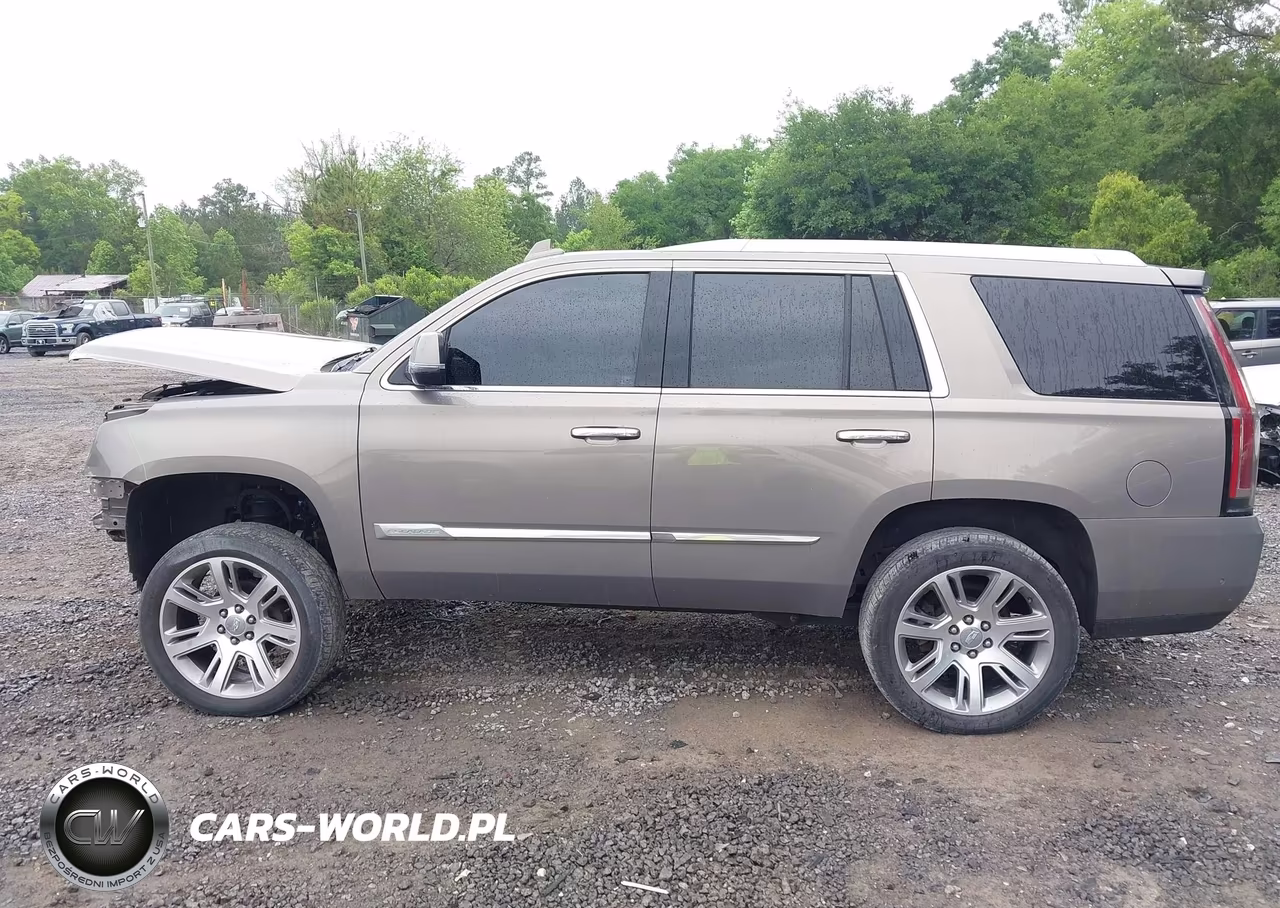 2017 Cadillac Escalade Luxury VIN:1GYS4BKJ0HR283435 - 14