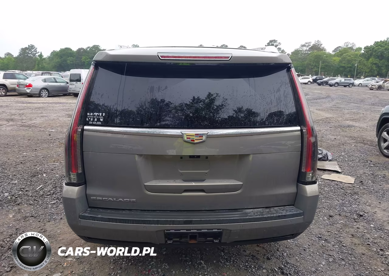 2017 Cadillac Escalade Luxury VIN:1GYS4BKJ0HR283435 - 16