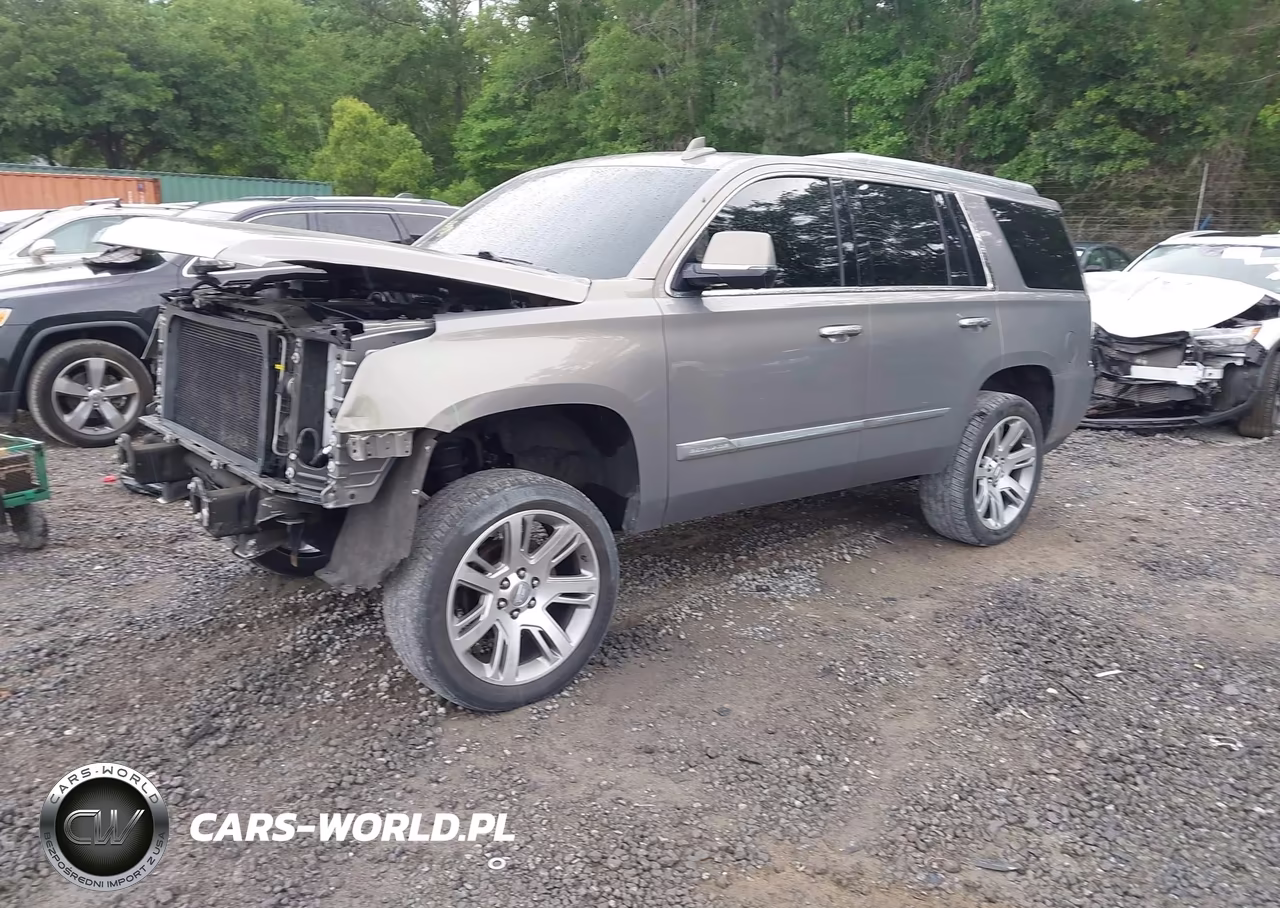 2017 Cadillac Escalade Luxury VIN:1GYS4BKJ0HR283435 - 2