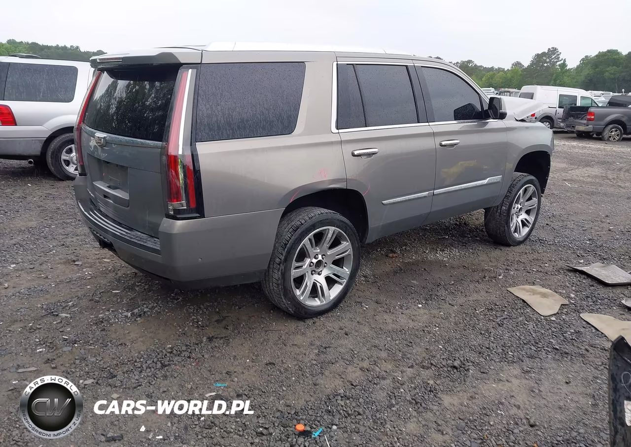 2017 Cadillac Escalade Luxury VIN:1GYS4BKJ0HR283435 - 4