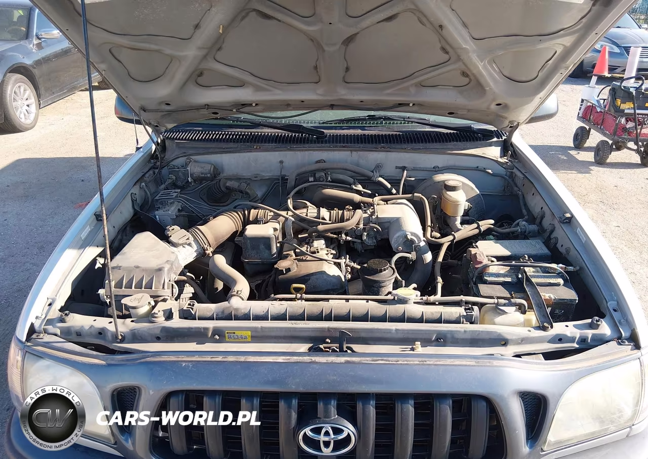 2004 Toyota Tacoma VIN:5TENL42N34Z439499 - 10