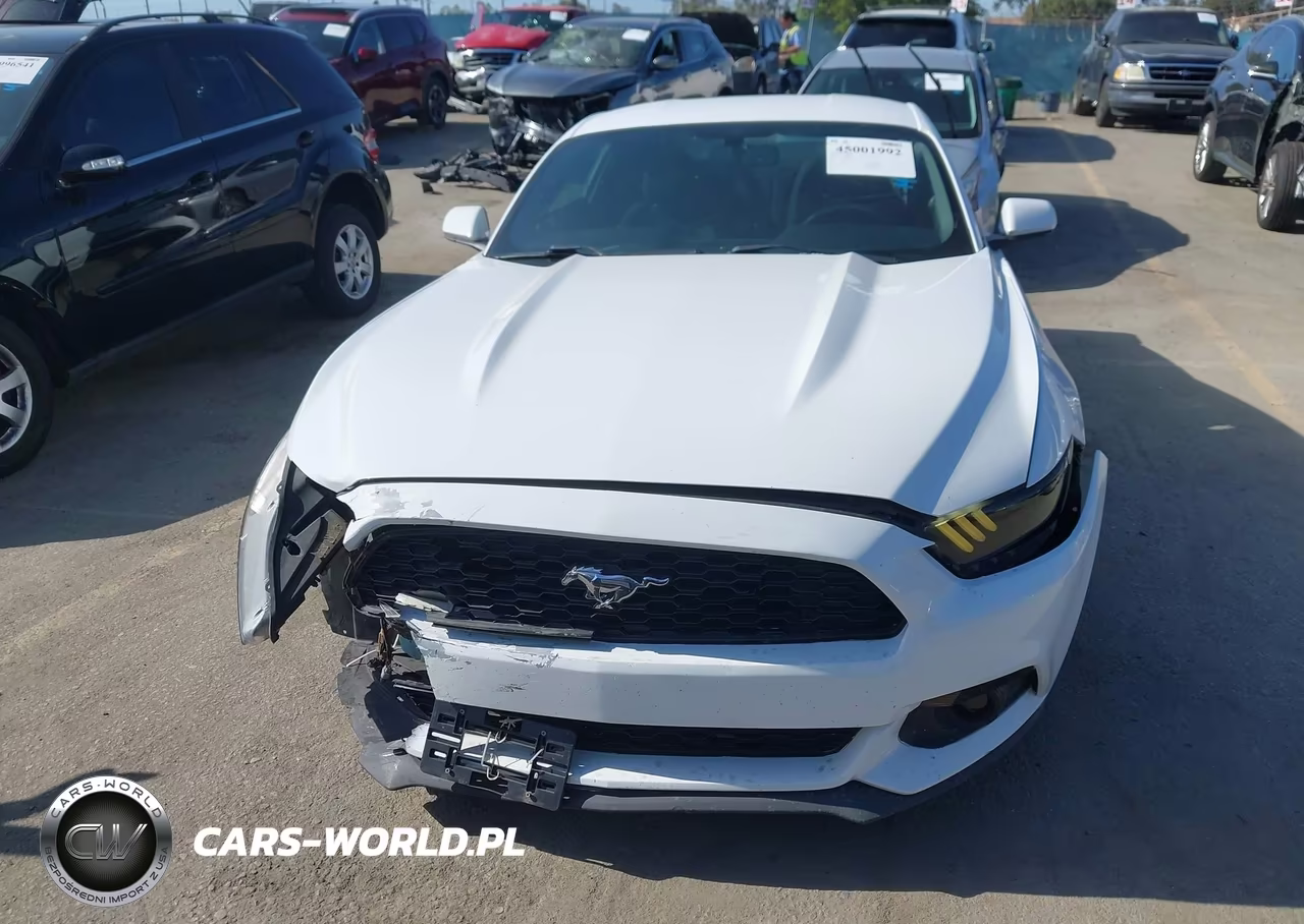 2016 Ford Mustang Ecoboost VIN:1FA6P8TH2G5303807 - 12