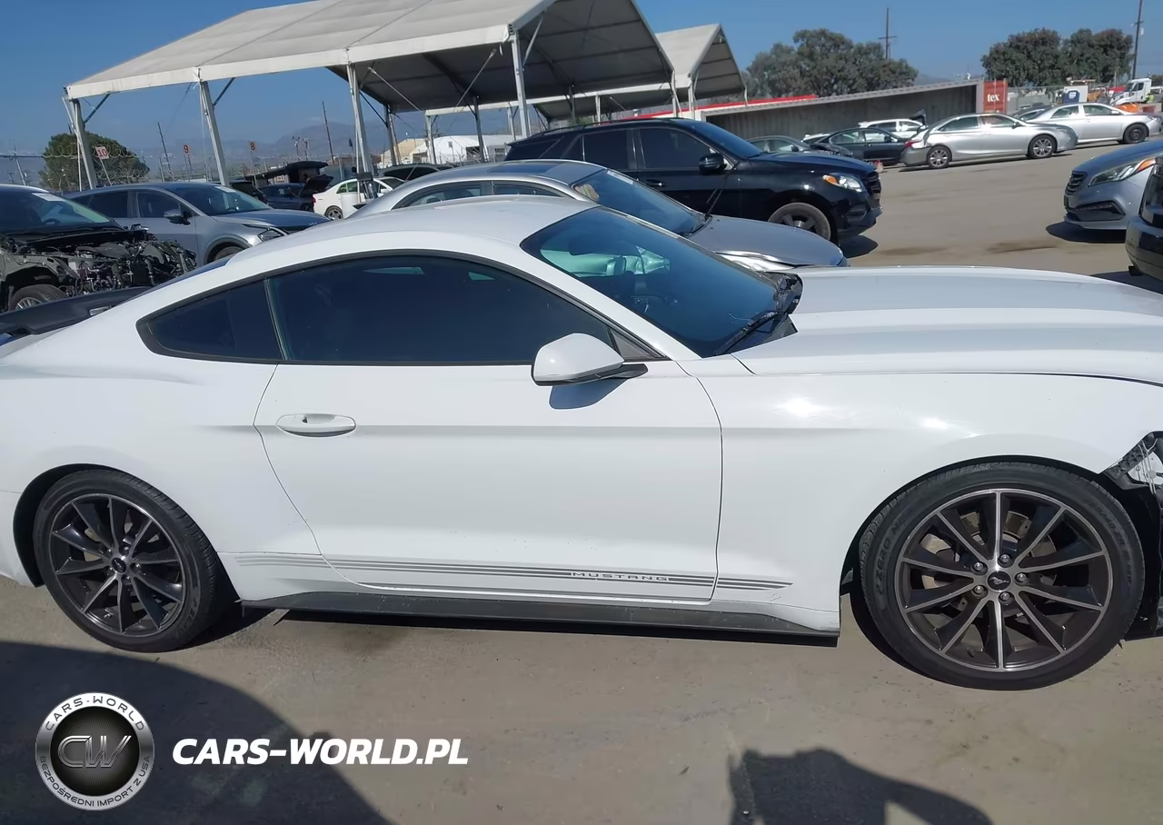 2016 Ford Mustang Ecoboost VIN:1FA6P8TH2G5303807 - 13