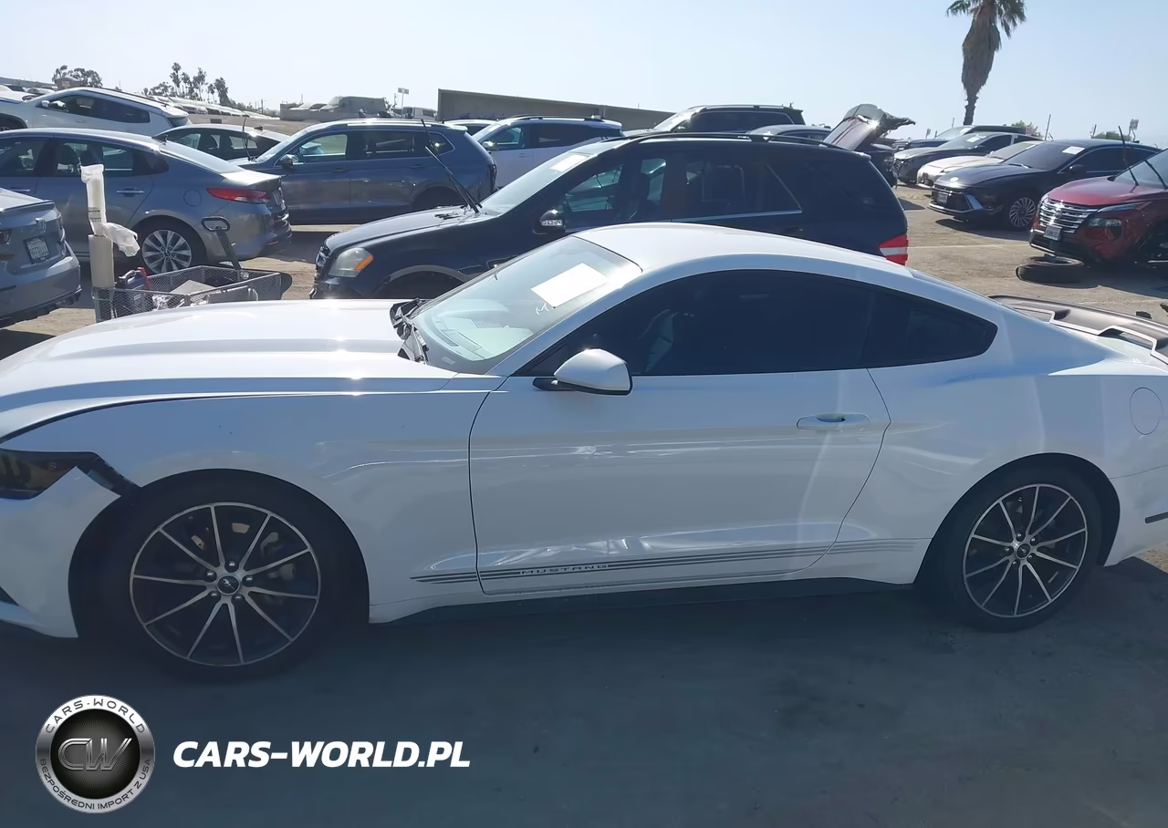 2016 Ford Mustang Ecoboost VIN:1FA6P8TH2G5303807 - 14
