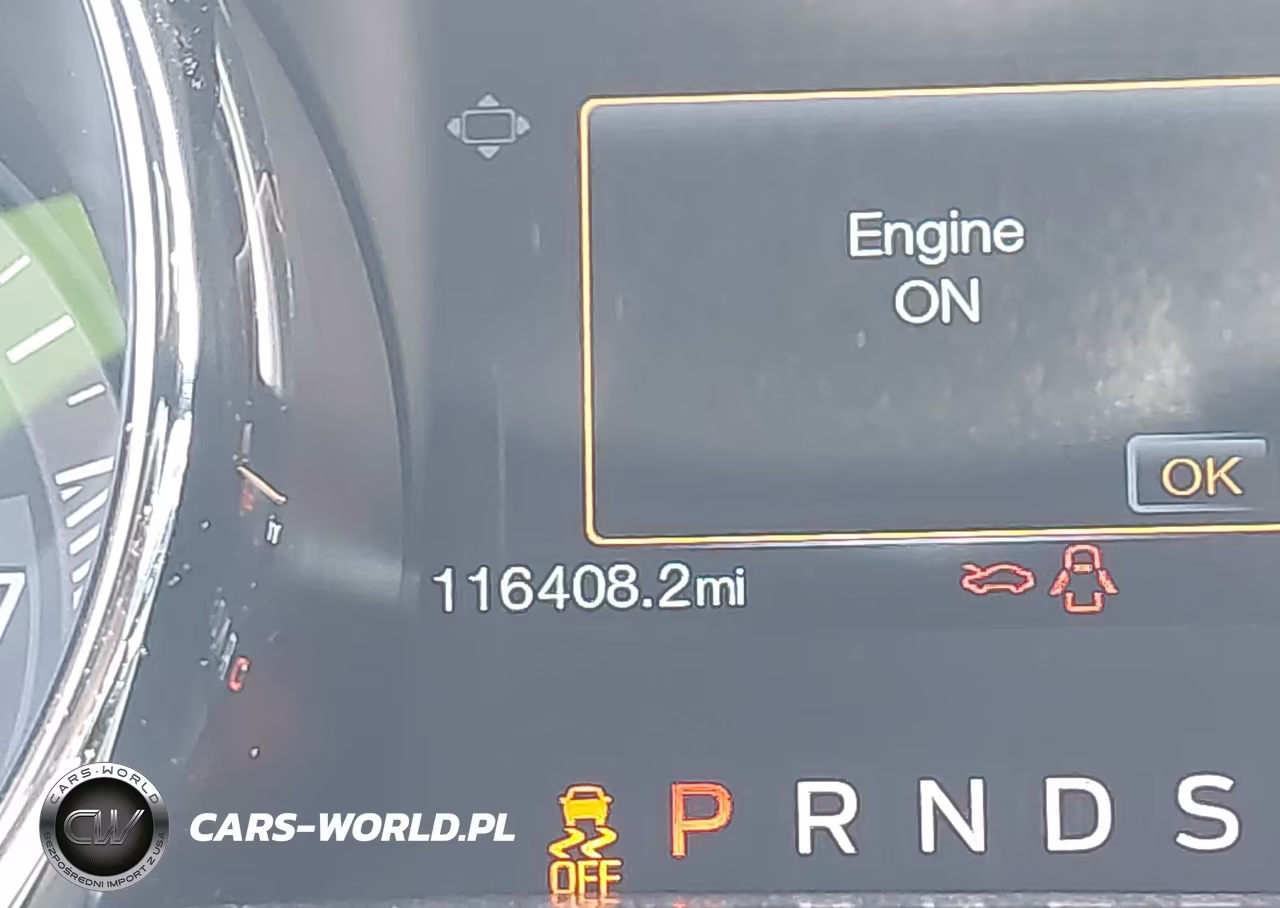 2016 Ford Mustang Ecoboost VIN:1FA6P8TH2G5303807 - 15