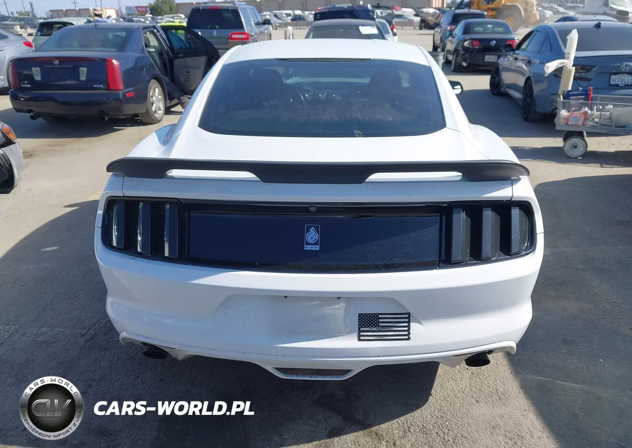 2016 Ford Mustang Ecoboost VIN:1FA6P8TH2G5303807 - 16