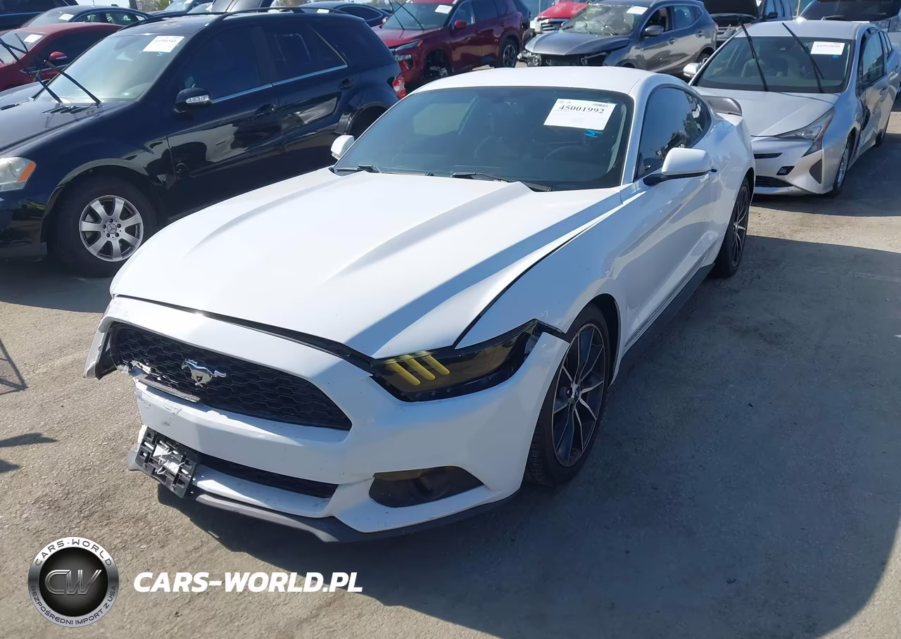 2016 Ford Mustang Ecoboost VIN:1FA6P8TH2G5303807 - 2