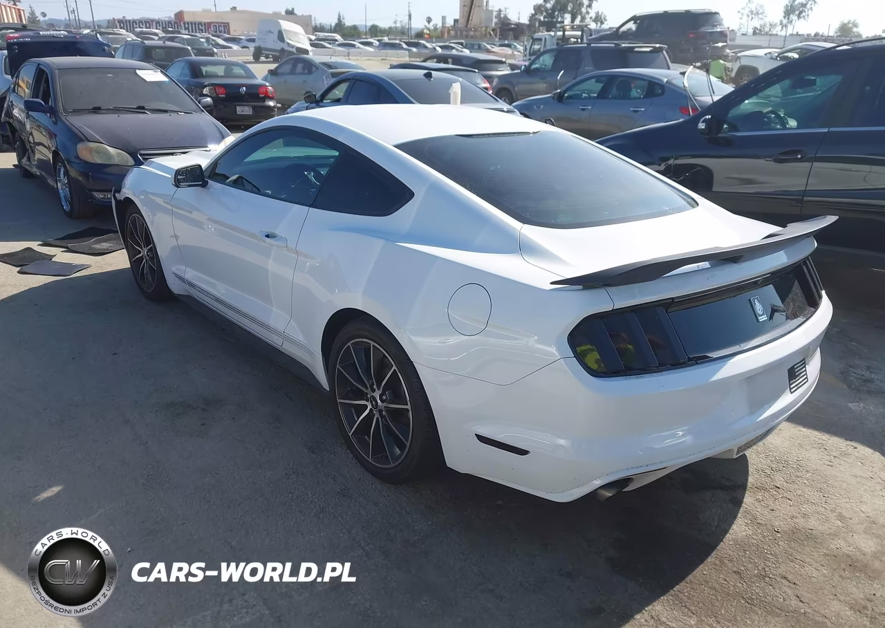 2016 Ford Mustang Ecoboost VIN:1FA6P8TH2G5303807 - 3