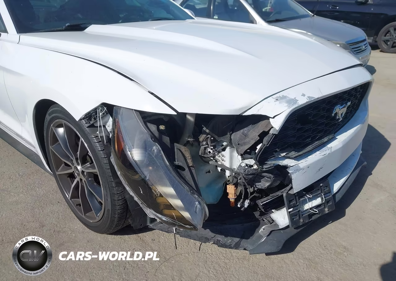 2016 Ford Mustang Ecoboost VIN:1FA6P8TH2G5303807 - 6