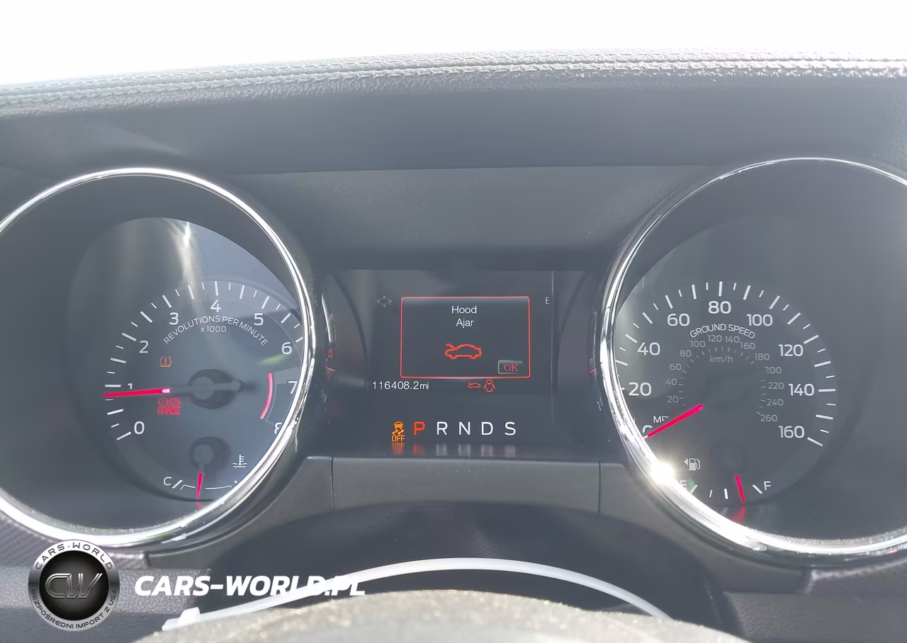2016 Ford Mustang Ecoboost VIN:1FA6P8TH2G5303807 - 7