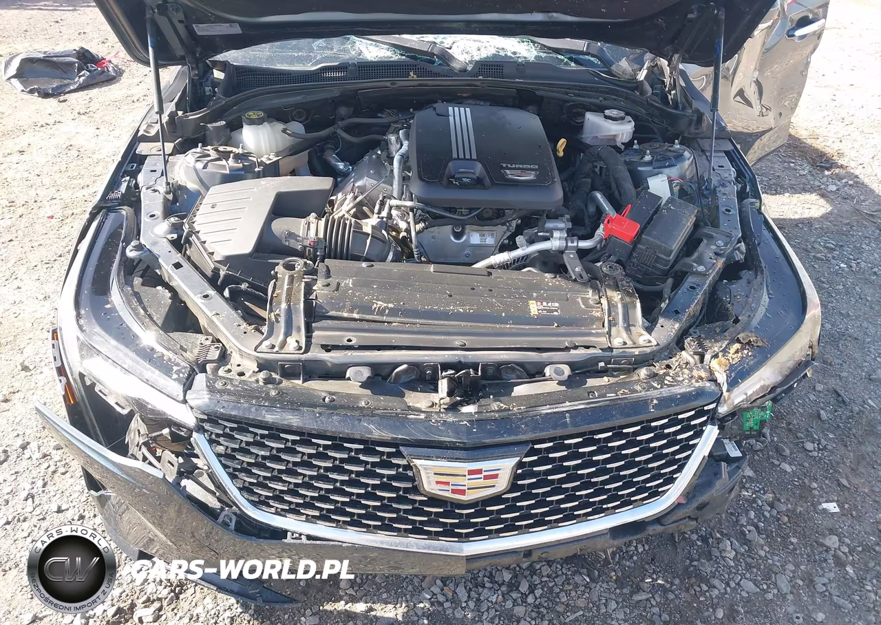 2022 Cadillac Ct4 Luxury VIN:1G6DJ5RK7N0135969 - 10