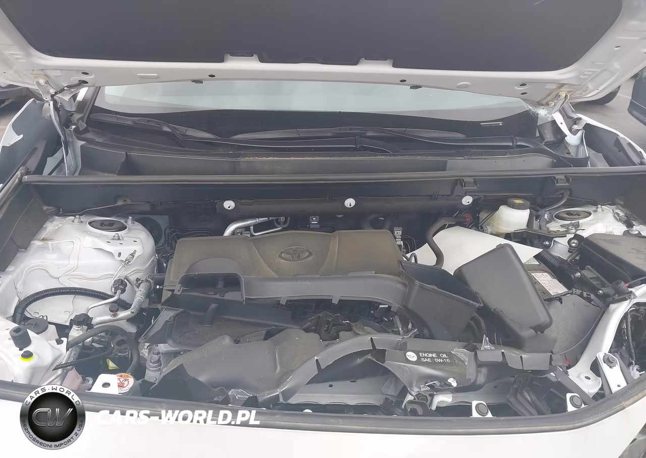 2025 Toyota Rav4 Xle Premium VIN:2T3C1RFV1SW370552 - 10
