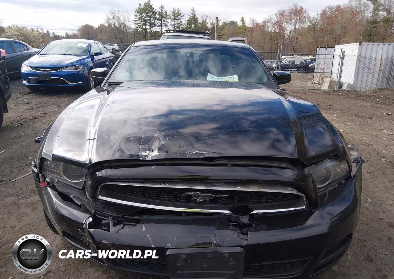 2014 Ford Mustang V6 Premium VIN:1ZVBP8AM9E5202363 - 12