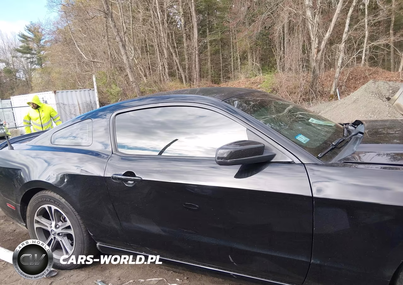 2014 Ford Mustang V6 Premium VIN:1ZVBP8AM9E5202363 - 13