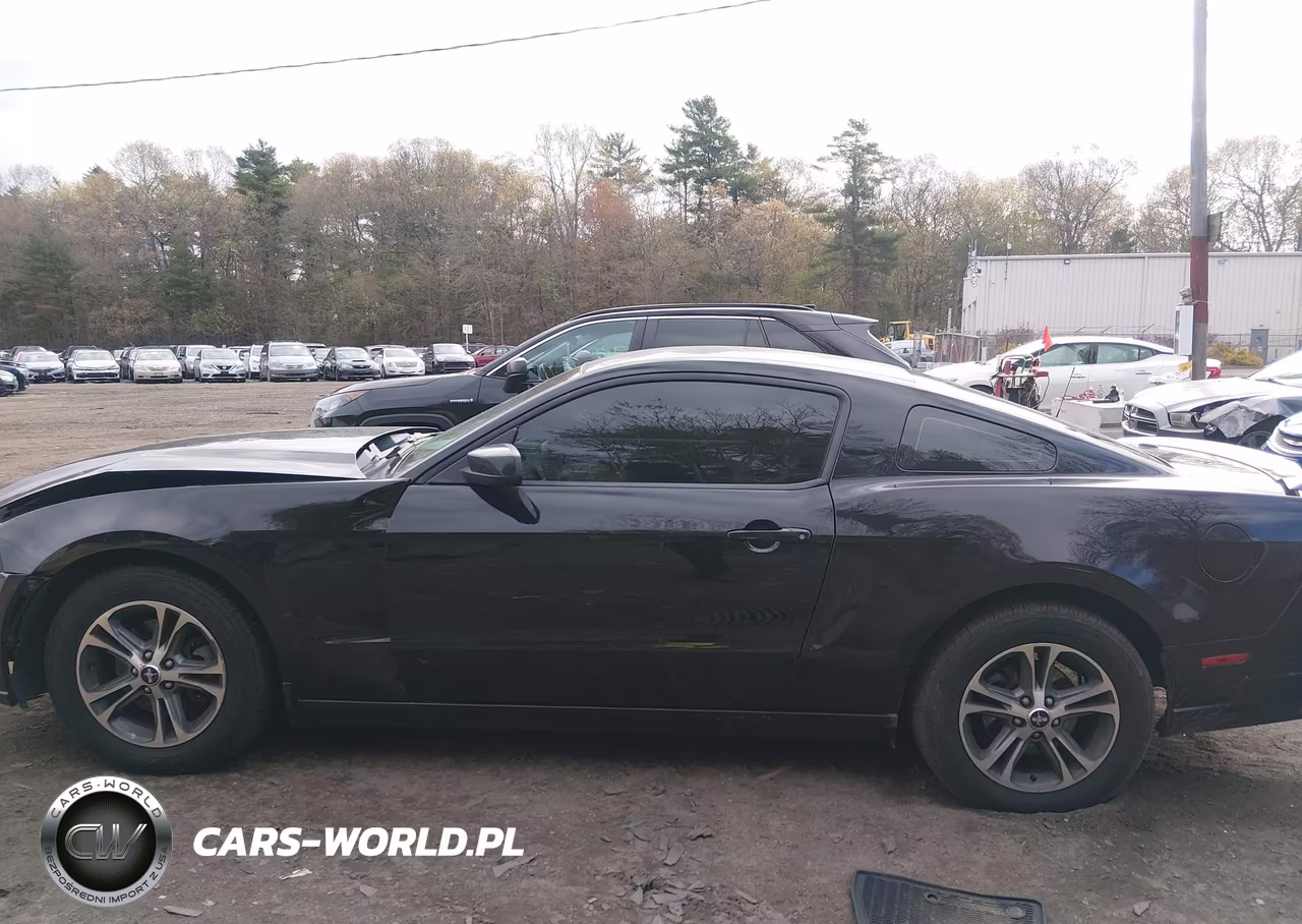 2014 Ford Mustang V6 Premium VIN:1ZVBP8AM9E5202363 - 14