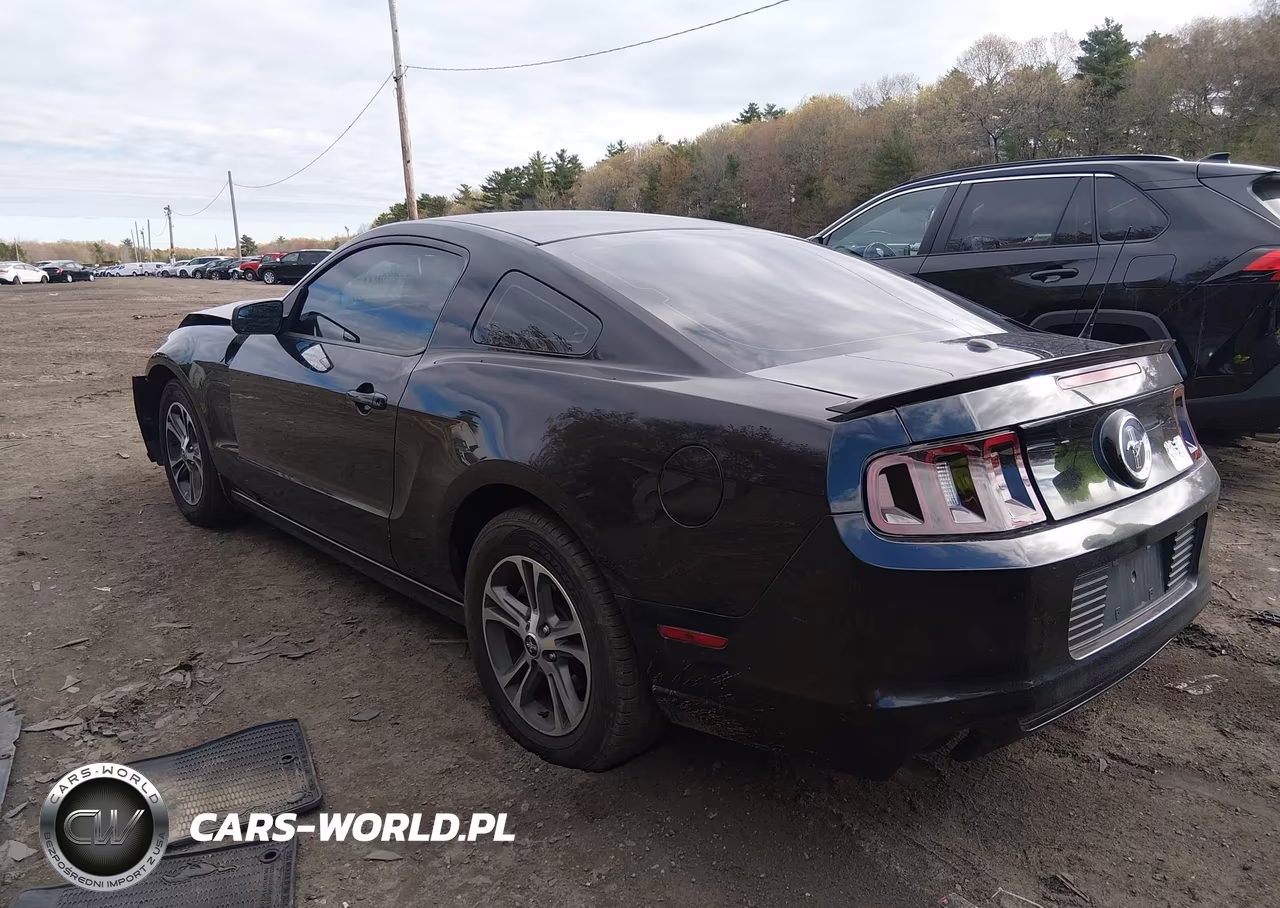 2014 Ford Mustang V6 Premium VIN:1ZVBP8AM9E5202363 - 3