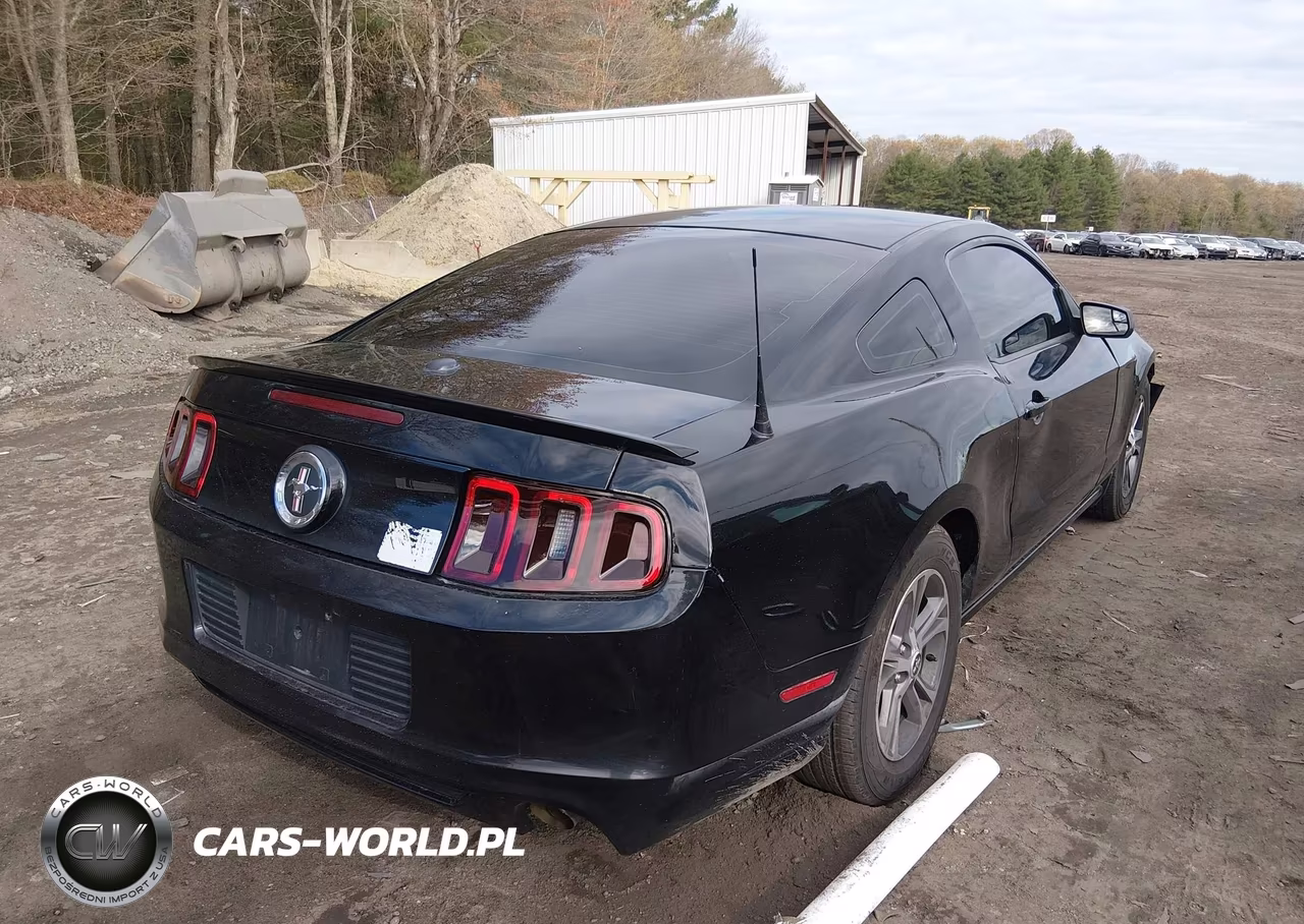 2014 Ford Mustang V6 Premium VIN:1ZVBP8AM9E5202363 - 4