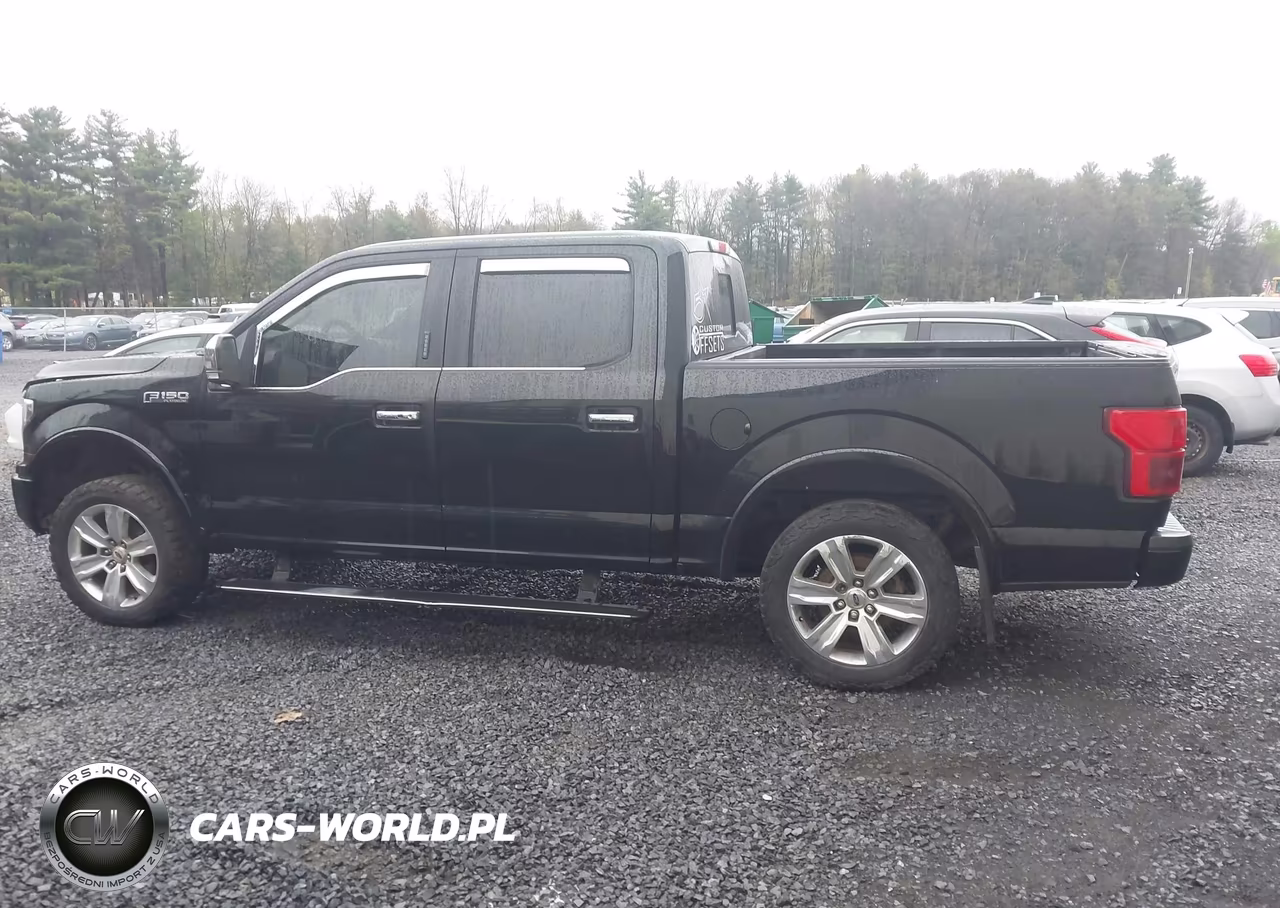 2018 Ford F-150 Platinum VIN:1FTEW1EG4JFC07358 - 14