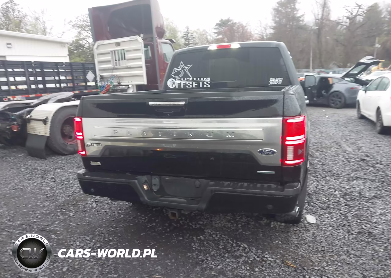 2018 Ford F-150 Platinum VIN:1FTEW1EG4JFC07358 - 16