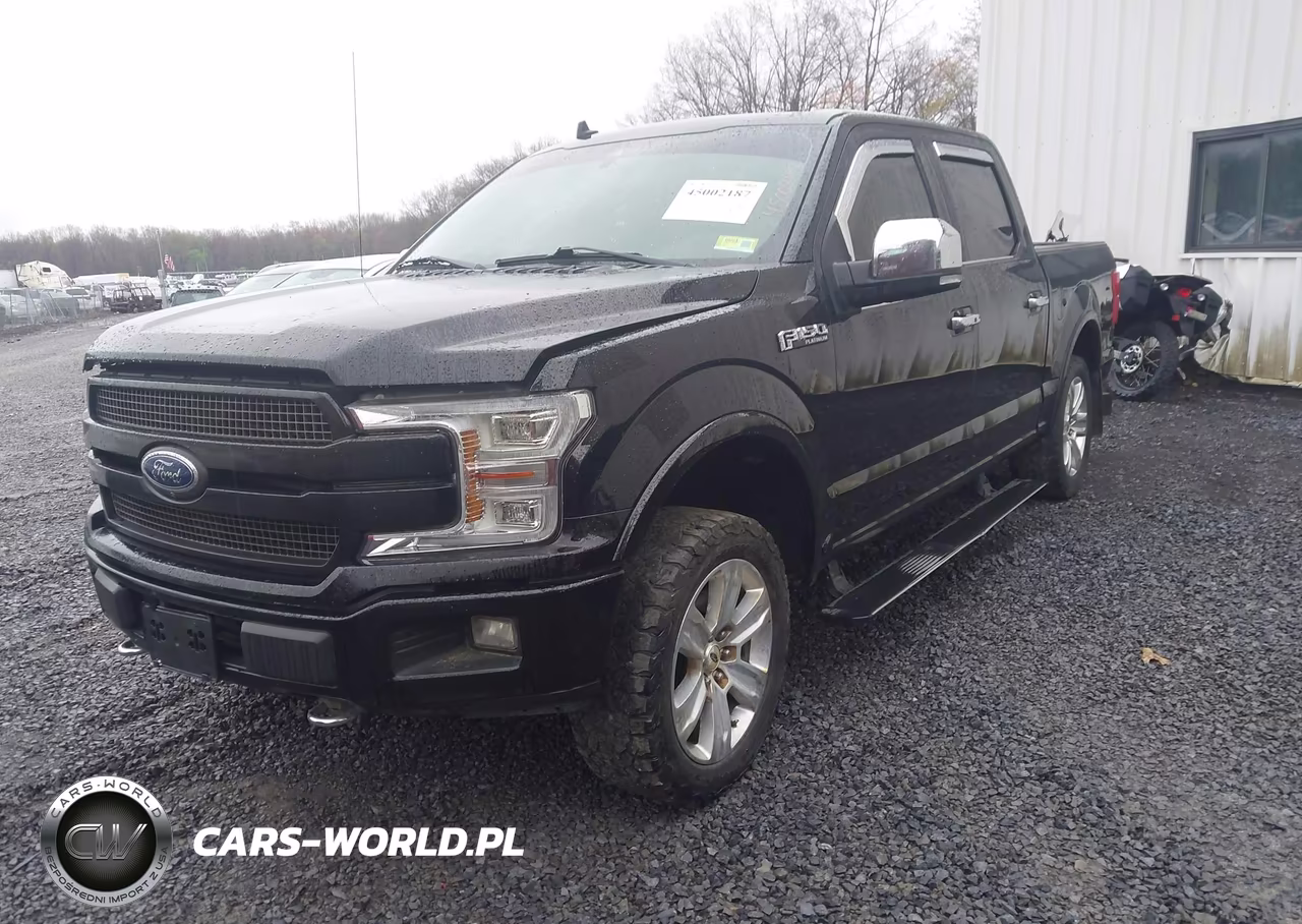 2018 Ford F-150 Platinum VIN:1FTEW1EG4JFC07358 - 2