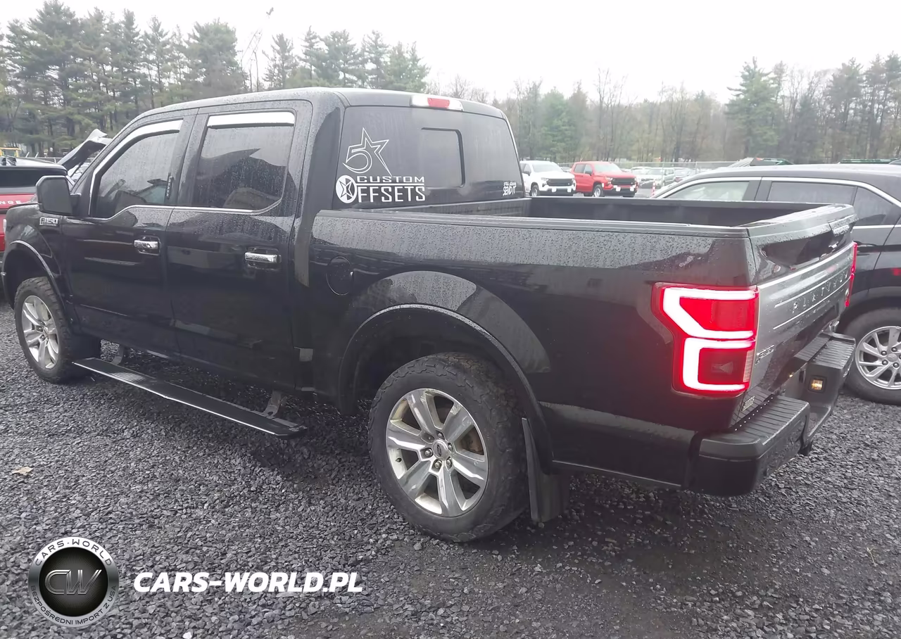 2018 Ford F-150 Platinum VIN:1FTEW1EG4JFC07358 - 3