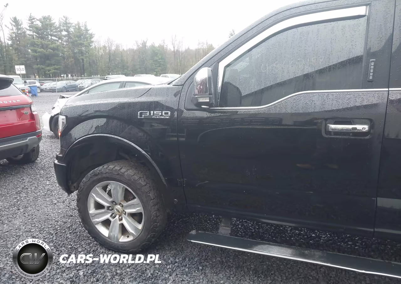 2018 Ford F-150 Platinum VIN:1FTEW1EG4JFC07358 - 6