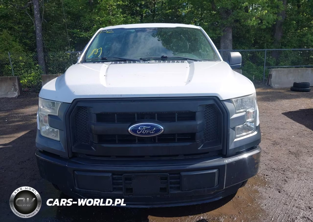 2016 Ford F-150 Xl VIN:1FTMF1C82GKE76823 - 12