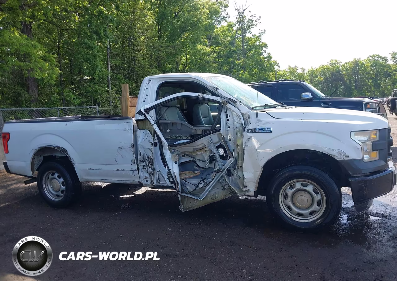 2016 Ford F-150 Xl VIN:1FTMF1C82GKE76823 - 13