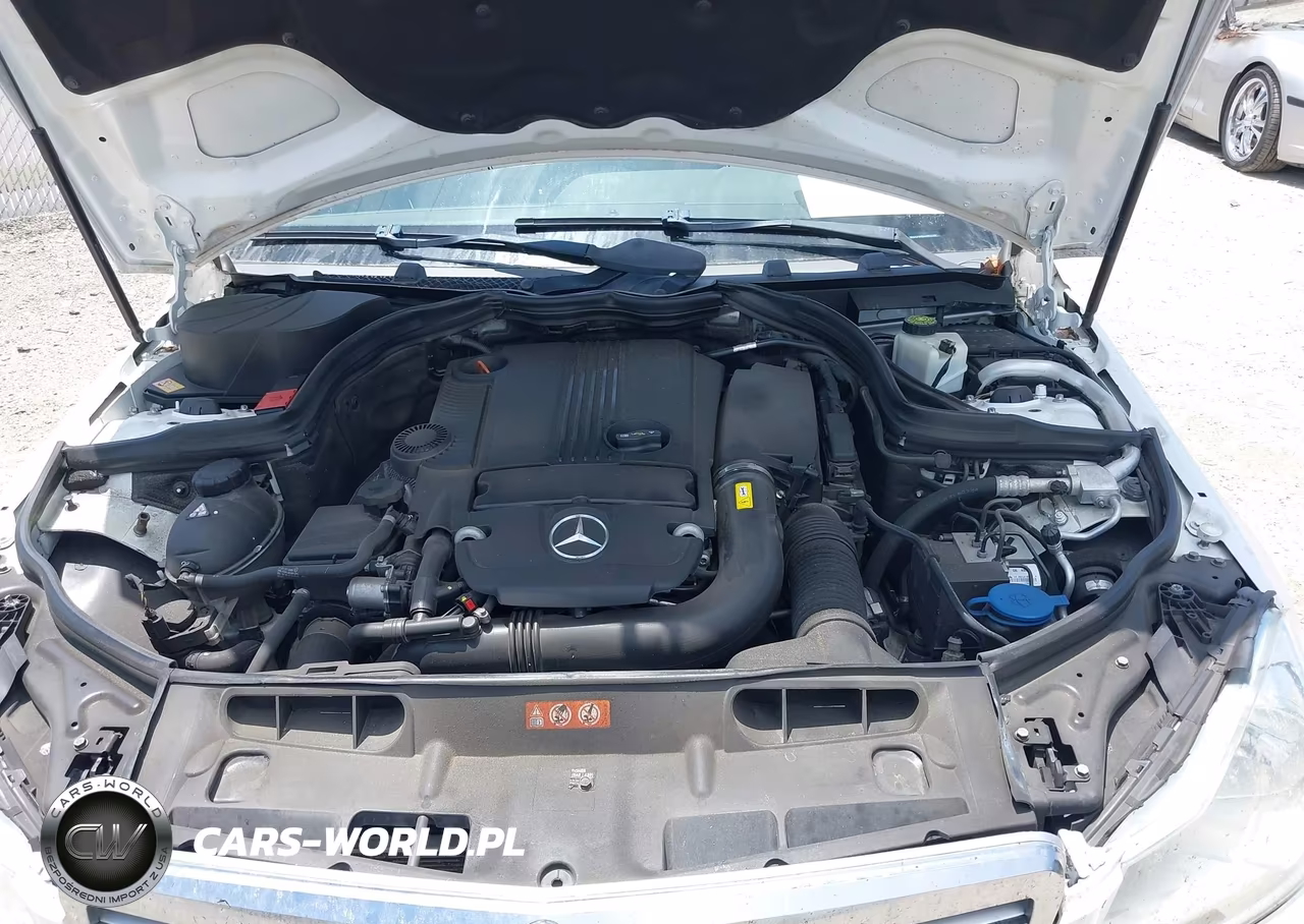 2013 Mercedes-Benz C 250 Luxury VIN:WDDGF4HB2DA802596 - 10