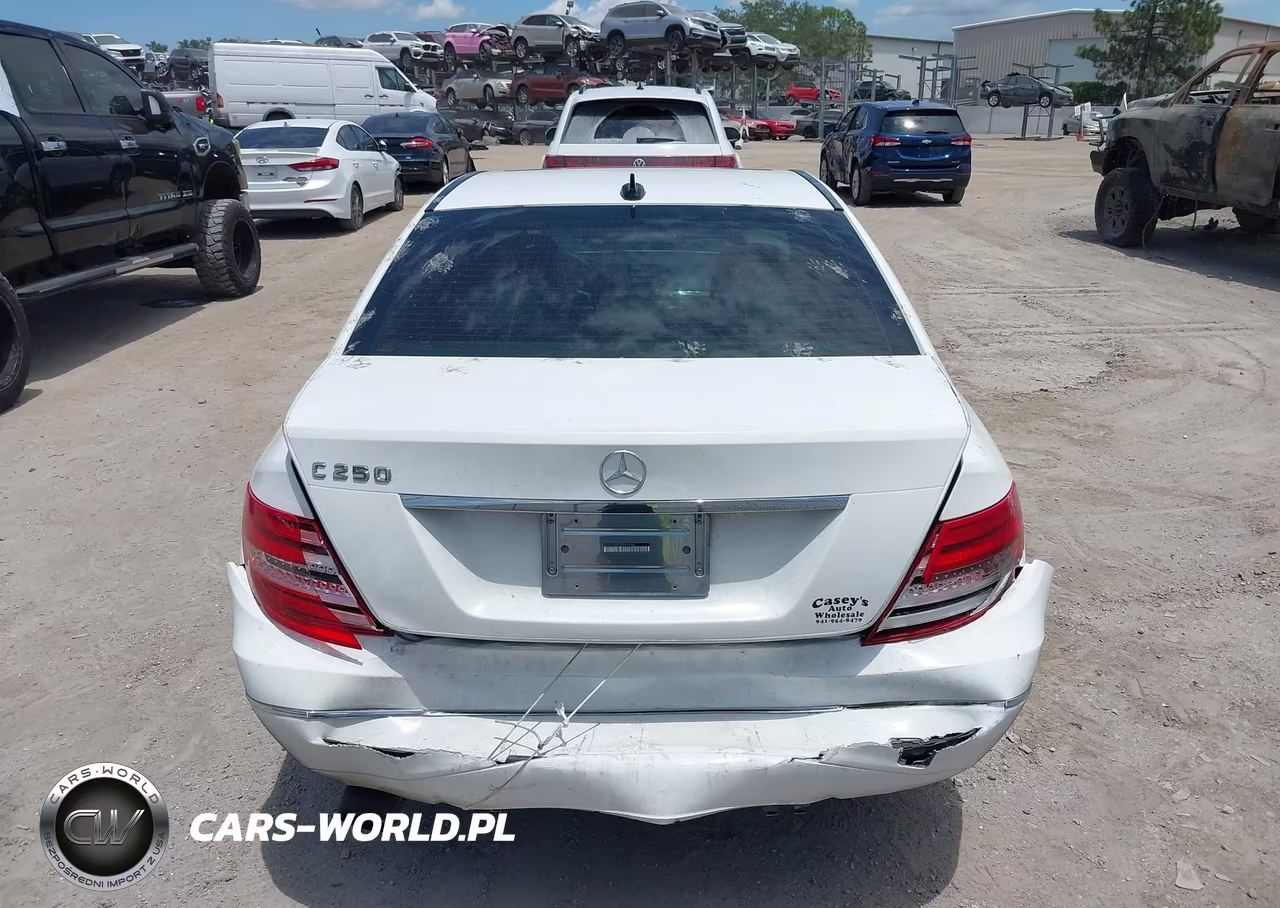2013 Mercedes-Benz C 250 Luxury VIN:WDDGF4HB2DA802596 - 17