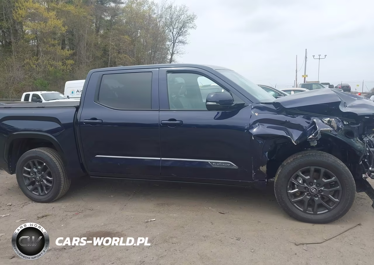 2025 Toyota Tundra Platinum VIN:5TFNA5DB5SX307041 - 13