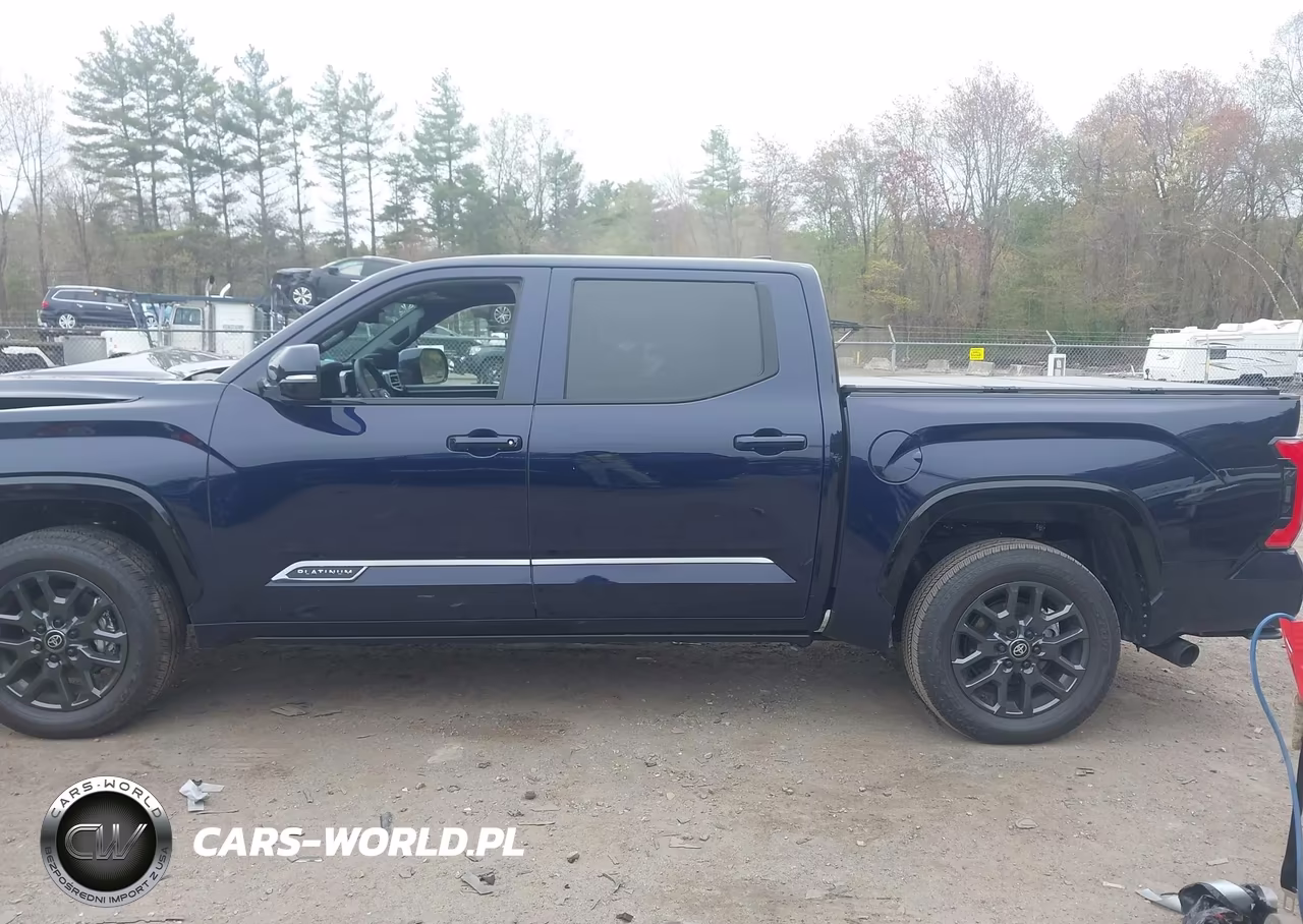 2025 Toyota Tundra Platinum VIN:5TFNA5DB5SX307041 - 14