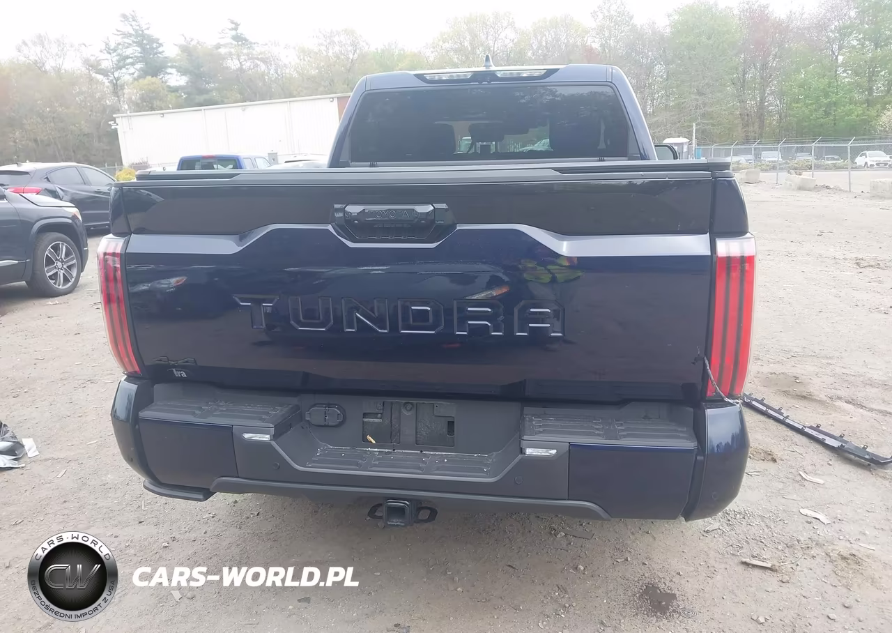 2025 Toyota Tundra Platinum VIN:5TFNA5DB5SX307041 - 16
