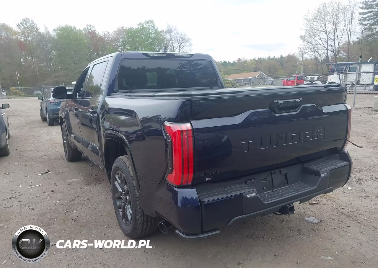 2025 Toyota Tundra Platinum VIN:5TFNA5DB5SX307041 - 3