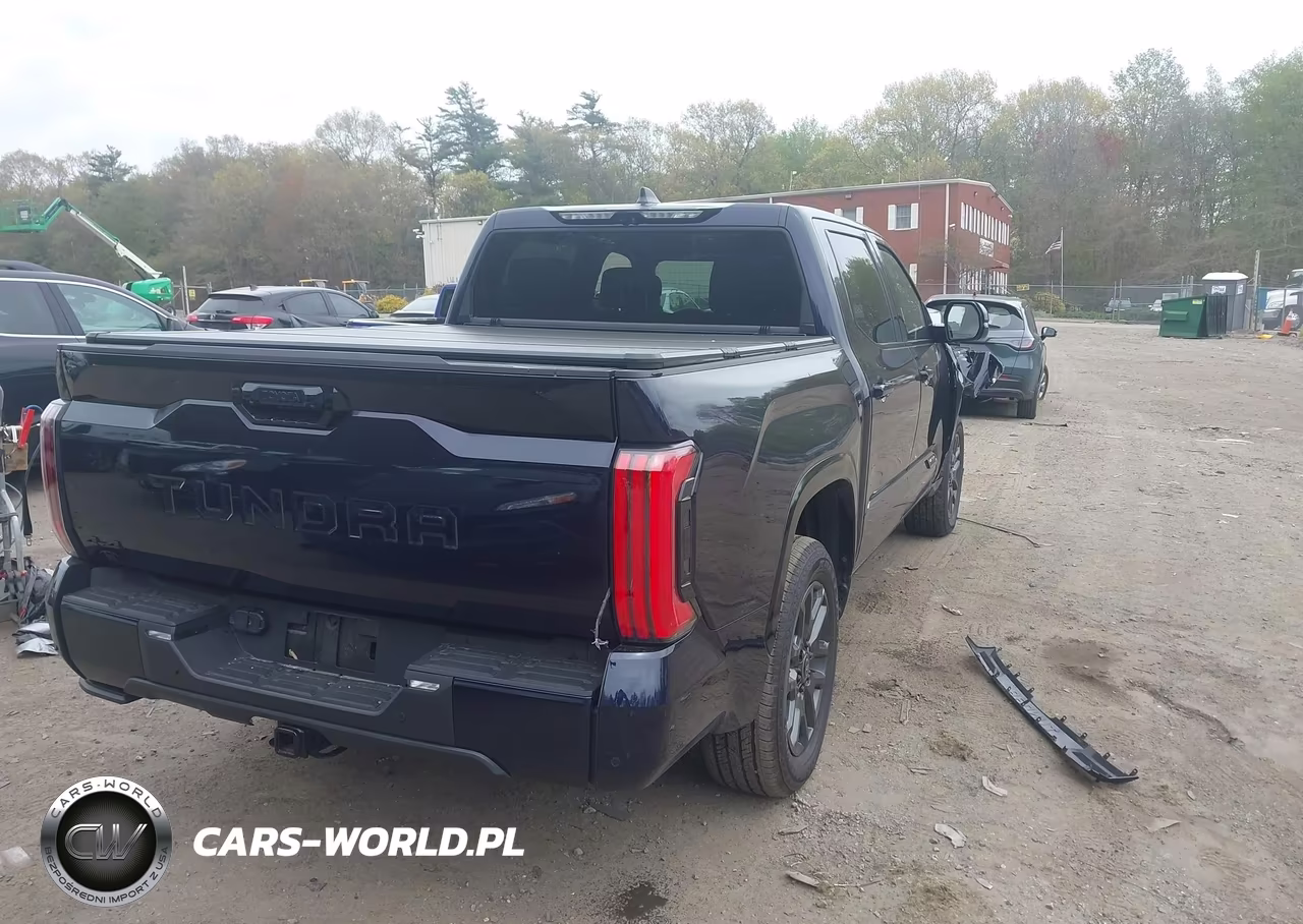 2025 Toyota Tundra Platinum VIN:5TFNA5DB5SX307041 - 4
